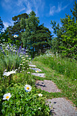 Footpath in garden