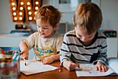 Brothers doing homework at home