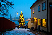 Beleuchteter Weihnachtsbaum in der Stadt in der Abenddämmerung