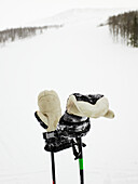 Gloves on ski poles