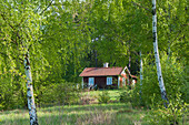 Holzhaus zwischen Bäumen