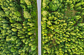 Aerial view of road