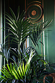 Palm leaves against green wall