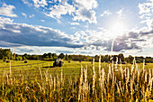 Traktor auf dem Feld