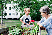 Grandmother and grandson at vegetable patch