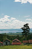 Houses near forest