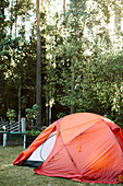 Tent in backyard