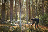 Frau fotografiert im Wald