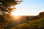 Man looking at sun setting over forest