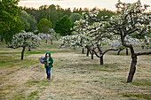 Girl in blossoming orchard