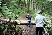 Radfahrer im Wald