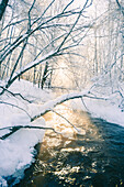 Fluss im Winter