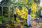 Couple in garden