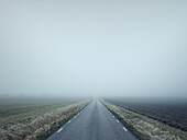 Country road at foggy day