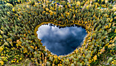 Heart-shaped lake surrounded by forest