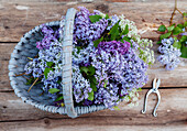 Lilac flowers in basket