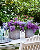 Lilac flowers on garden table