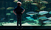 Boy looking at fish in aquarium