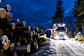 Loading logs on lorry