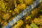 Aerial view of road through forest