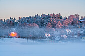 Neblige Winterlandschaft