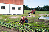 Woman working on field