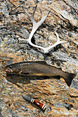 Fish, knife and antler on rock