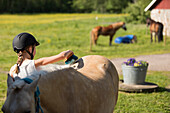 Mädchen bürstet Pferd