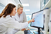 Frauen analysieren Diagramm auf Computerbildschirm