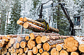 Crane stacking logs
