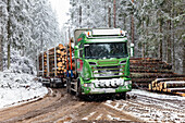 Lorry loaded with logs