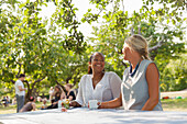 Frauen entspannen sich mit Tee am Tisch im Park
