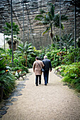 Couple walking in botanical garden glasshouse