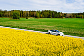 Blühendes Rapsfeld mit Auto im Hintergrund