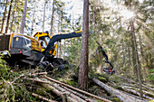 Bunkerbauer bei der Arbeit