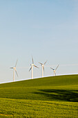 Windturbinen auf der grünen Wiese