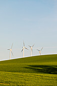 Wind turbines in green field