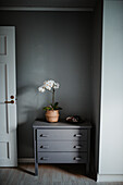 Home interior with gray chest of drawers