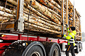 Female driver securing logs on trailer