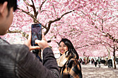 Mann fotografiert Frau vor Kirschblüte