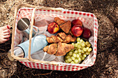 Croissants and fresh fruit in picnic basket