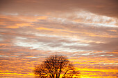 View of sky at sunset