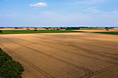 High angle view of rural landscape