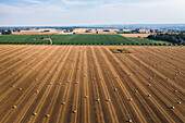 Blick auf Ballen auf dem Feld