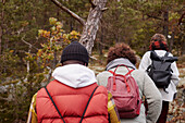 Group of friends walking in forest