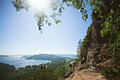 Mountain climber and sunny summer landscape