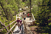 Family walking through forest