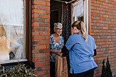 Home caretaker delivering groceries to senior woman