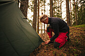 Female hiker pitching tent in forest