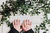 Woman's hands using laptop
